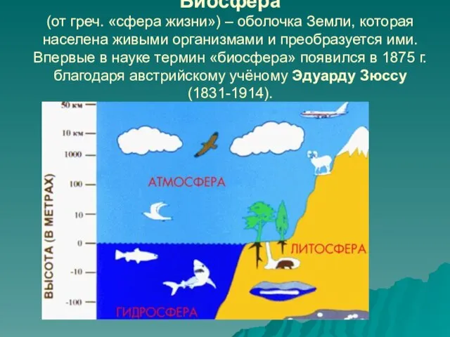 Биосфера (от греч. «сфера жизни») – оболочка Земли, которая населена живыми организмами