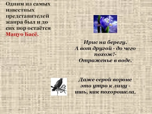 Ирис на берегу. А вот другой - до чего похож!- Отраженье в