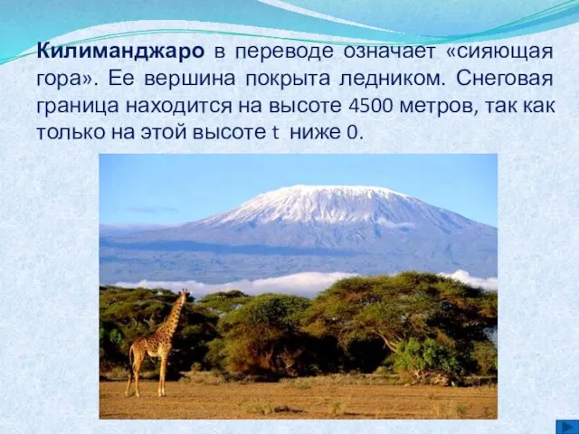 Килиманджаро в переводе означает «сияющая гора». Ее вершина покрыта ледником. Снеговая граница