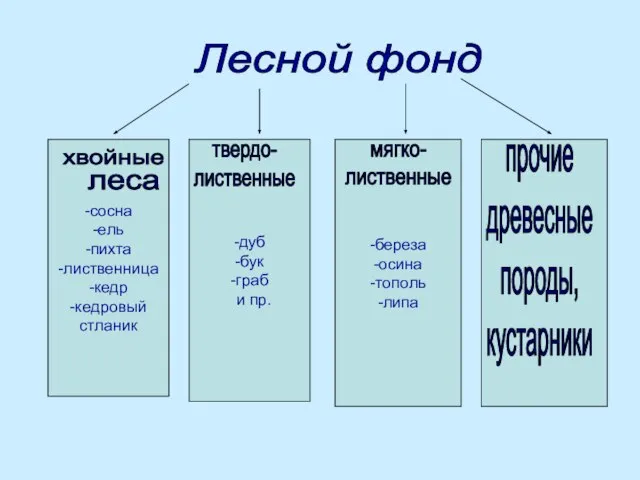 Лесной фонд -сосна -ель -пихта -лиственница -кедр -кедровый стланик -дуб -бук -граб