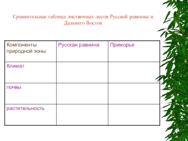Сравнительная таблица лиственных лесов Русской равнины и Дальнего Восток