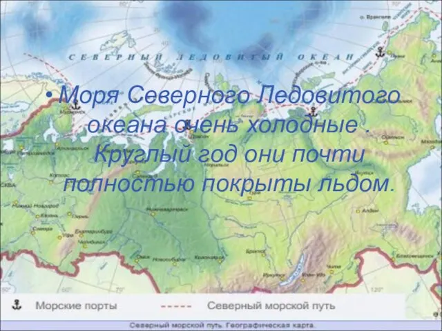 Моря Северного Ледовитого океана очень холодные . Круглый год они почти полностью покрыты льдом.