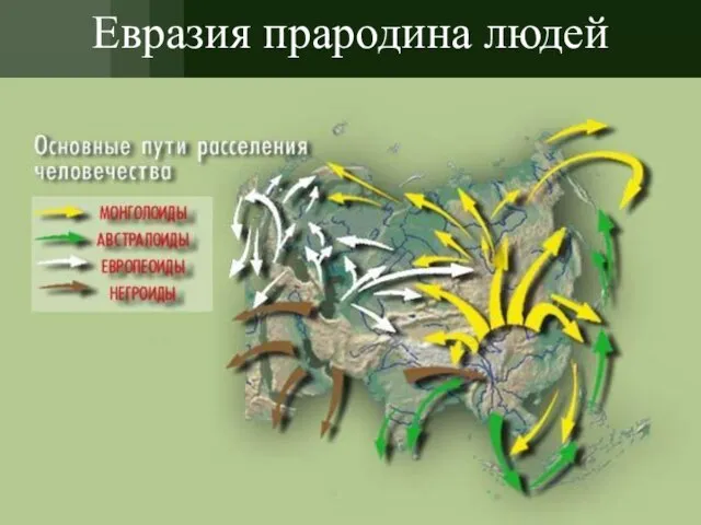 Евразия прародина людей