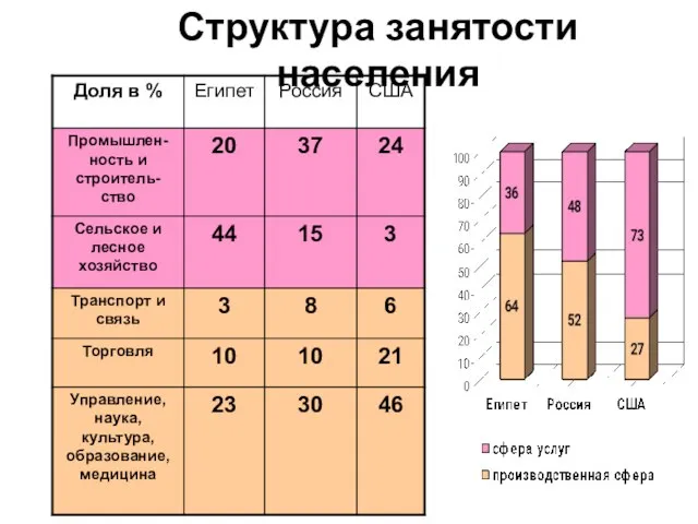 Структура занятости населения