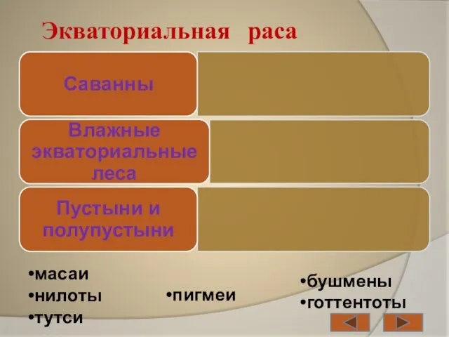 Экваториальная раса масаи нилоты тутси пигмеи бушмены готтентоты