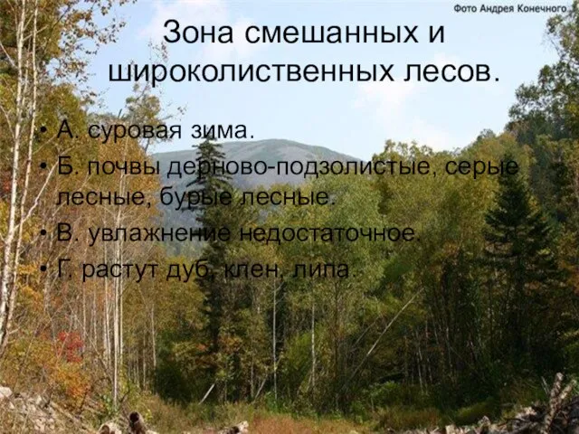 Зона смешанных и широколиственных лесов. А. суровая зима. Б. почвы дерново-подзолистые, серые