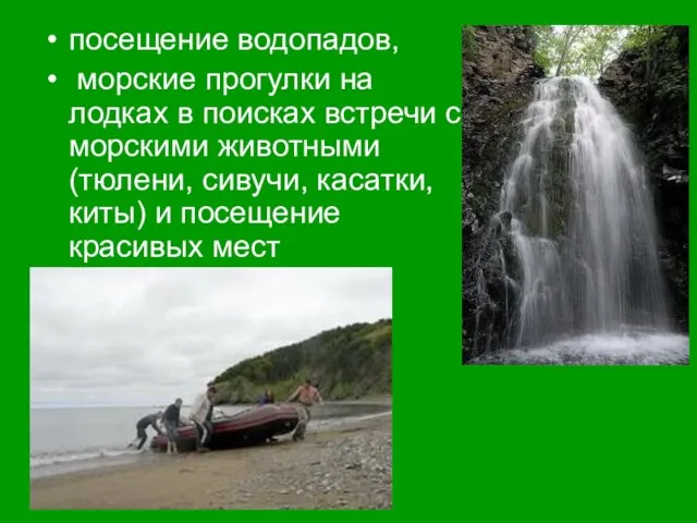 посещение водопадов, морские прогулки на лодках в поисках встречи с морскими животными