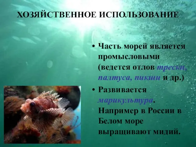 ХОЗЯЙСТВЕННОЕ ИСПОЛЬЗОВАНИЕ Часть морей является промысловыми (ведется отлов трески, палтуса, пикши и