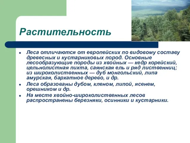 Растительность Леса отличаются от европейских по видовому составу древесных и кустарниковых пород.