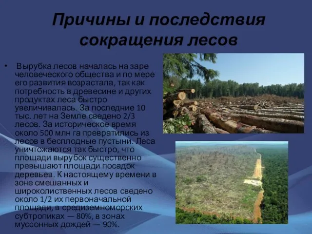 Причины и последствия сокращения лесов Вырубка лесов началась на заре человеческого общества