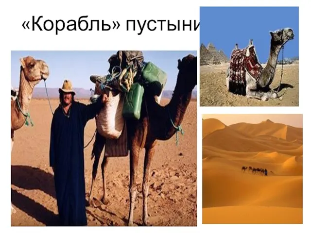 «Корабль» пустыни