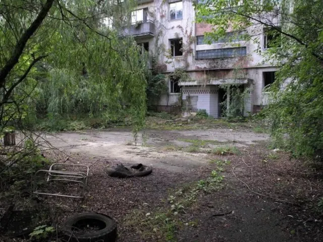 Чернобыль - это самый эффективный "заповедник". Природа "зализывает раны", как на уровне