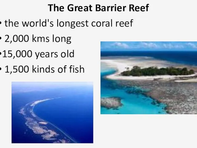 The Great Barrier Reef the world's longest coral reef 2,000 kms long