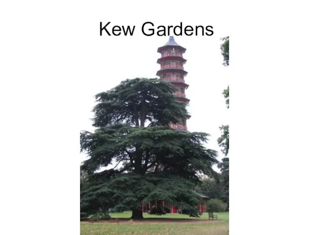 Kew Gardens