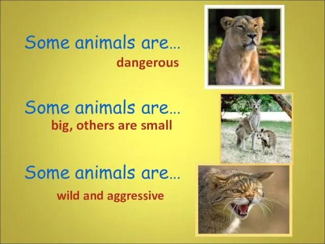 Some animals are… Some animals are… Some animals are… dangerous wild and