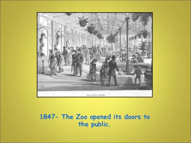 1847- The Zoo opened its doors to the public.