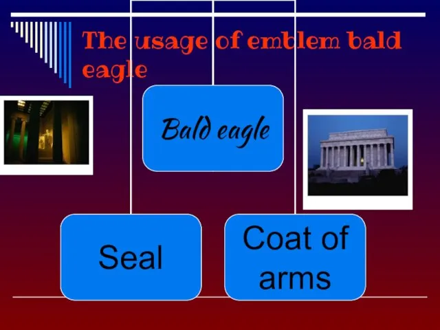 The usage of emblem bald eagle