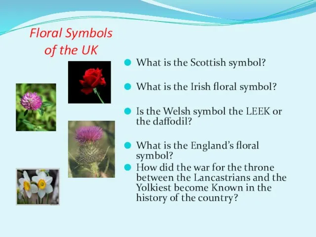 Floral Symbols of the UK What is the Scottish symbol? What is