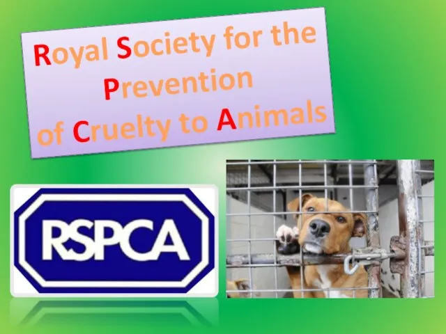 Royal Society for the Prevention of Cruelty to Animals