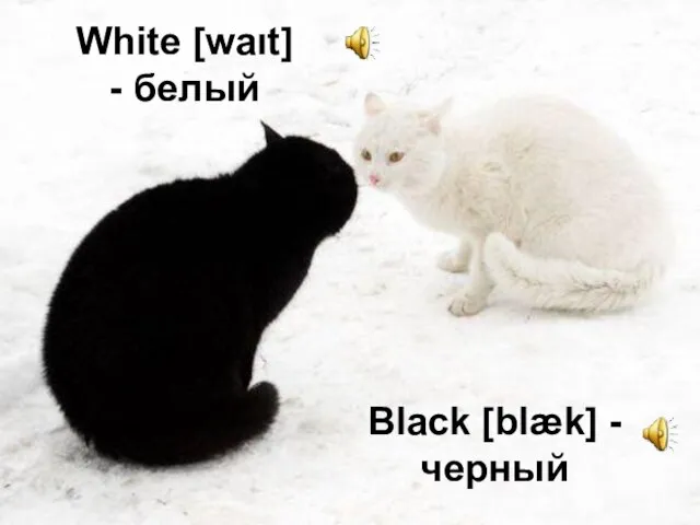 White [waιt] - белый Black [blæk] - черный