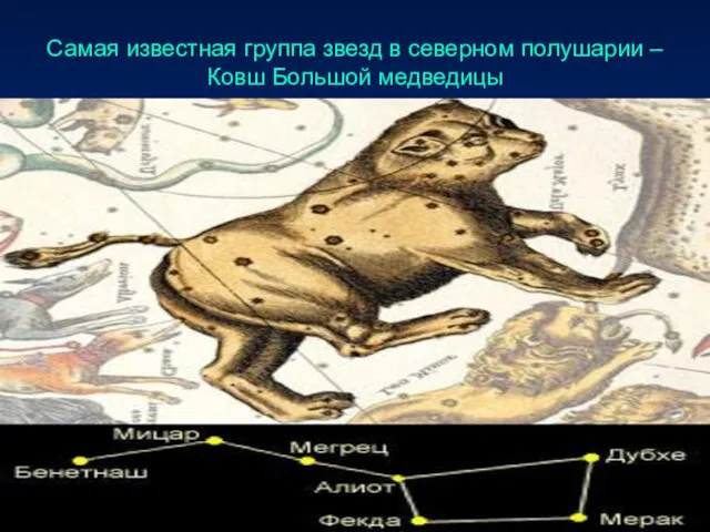 Самая известная группа звезд в северном полушарии – Ковш Большой медведицы
