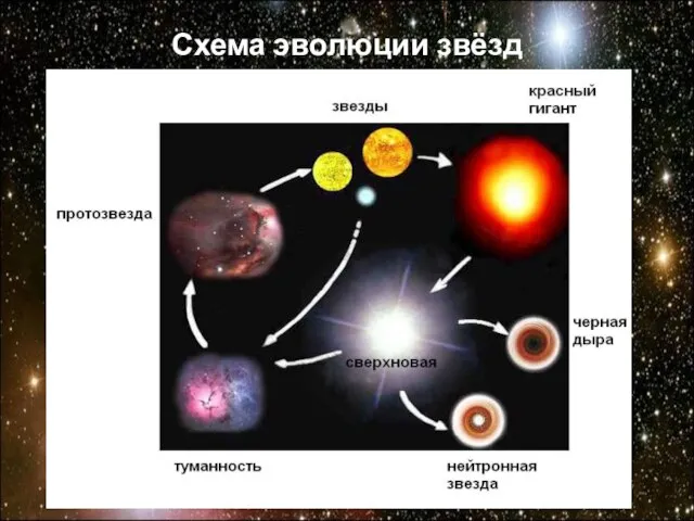 Схема эволюции звёзд