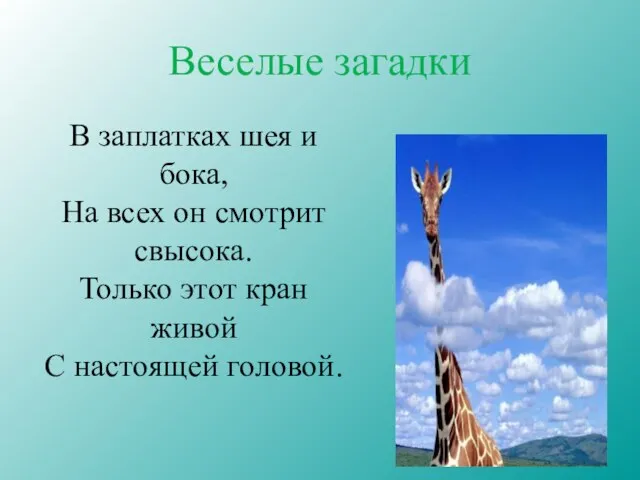 Веселые загадки В заплатках шея и бока, На всех он смотрит свысока.