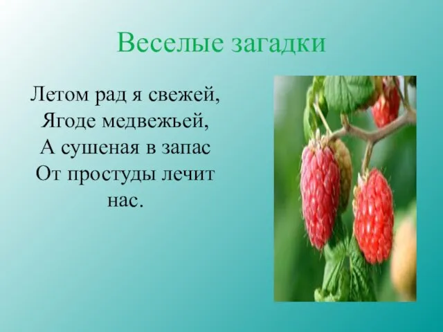 Веселые загадки Летом рад я свежей, Ягоде медвежьей, А сушеная в запас От простуды лечит нас.