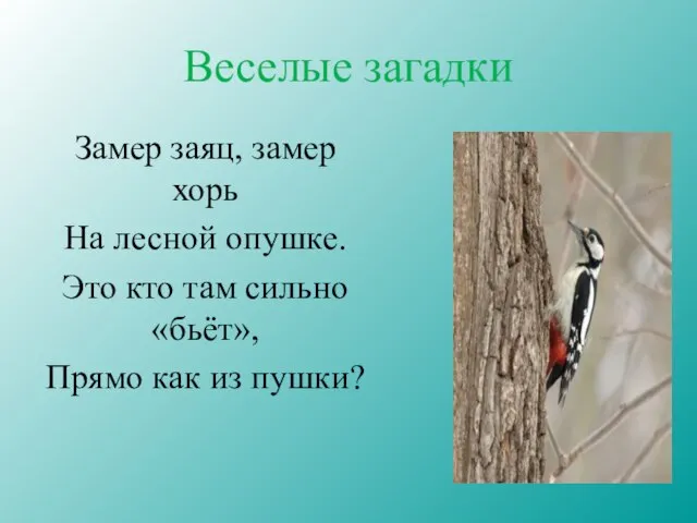 Веселые загадки Замер заяц, замер хорь На лесной опушке. Это кто там