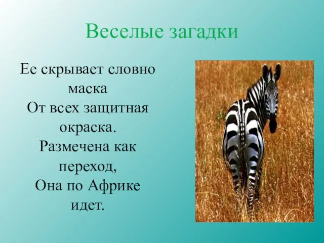 Веселые загадки Ее скрывает словно маска От всех защитная окраска. Размечена как