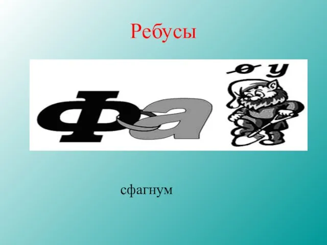 Ребусы сфагнум