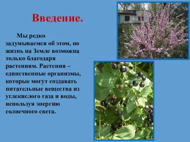 Введение. Мы редко задумываемся об этом, но жизнь на Земле возможна только