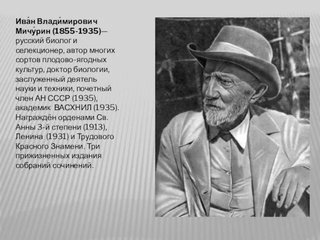 Ива́н Влади́мирович Мичу́рин (1855-1935)— русский биолог и селекционер, автор многих сортов плодово-ягодных