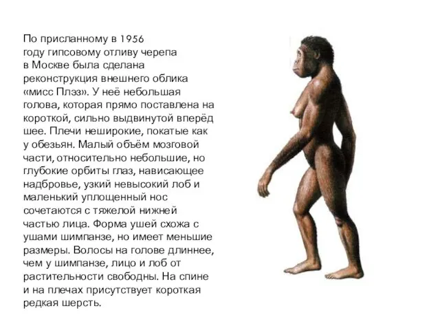 По присланному в 1956 году гипсовому отливу черепа в Москве была сделана