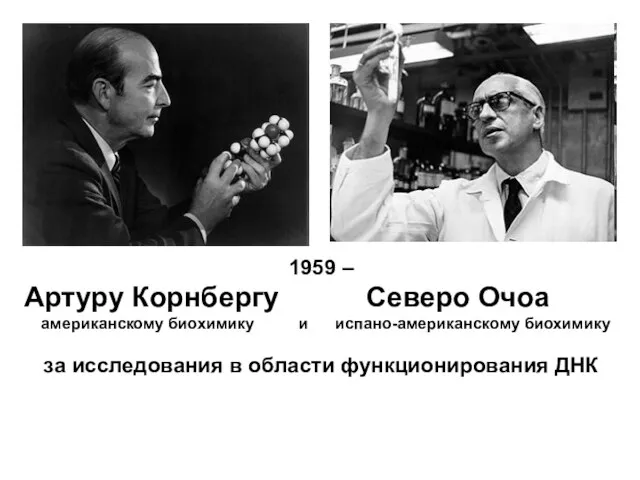 1959 – Артуру Корнбергу Северо Очоа американскому биохимику и испано-американскому биохимику за