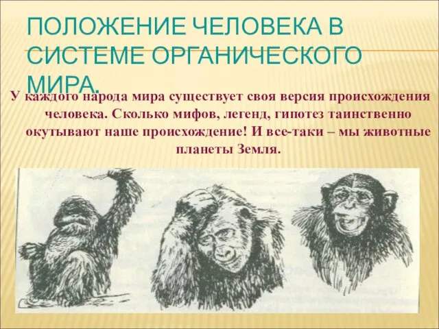 ПОЛОЖЕНИЕ ЧЕЛОВЕКА В СИСТЕМЕ ОРГАНИЧЕСКОГО МИРА. У каждого народа мира существует своя