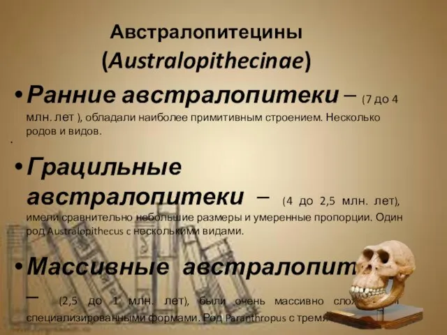 Австралопитецины (Australopithecinae) Ранние австралопитеки – (7 до 4 млн. лет ), обладали