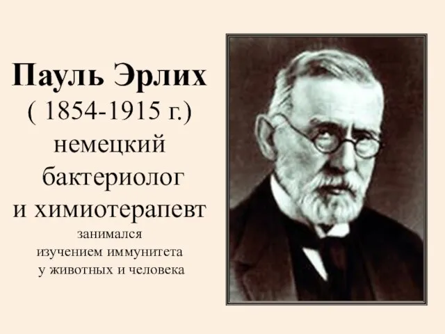 Пауль Эрлих ( 1854-1915 г.) немецкий бактериолог и химиотерапевт занимался изучением иммунитета у животных и человека