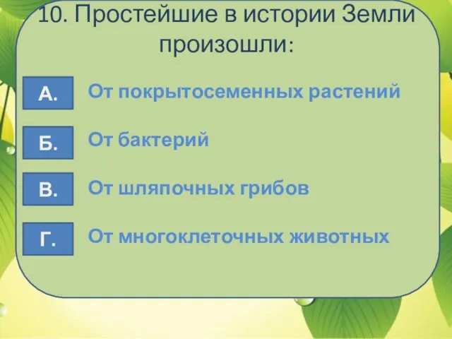 10. Простейшие в истории Земли произошли: От покрытосеменных растений От бактерий От