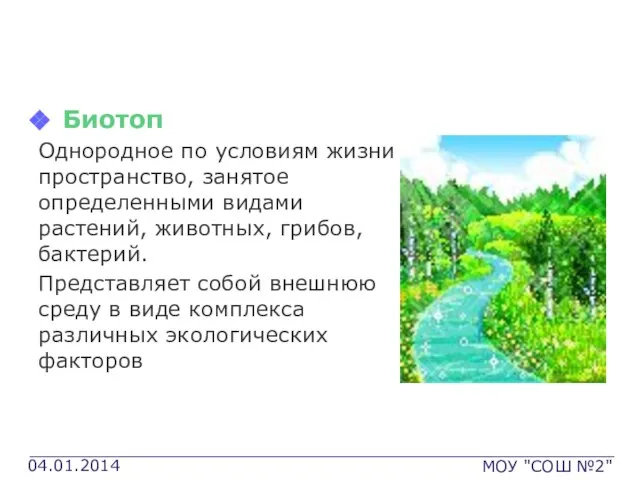 Структурные элементы БГЦ Биотоп Однородное по условиям жизни пространство, занятое определенными видами