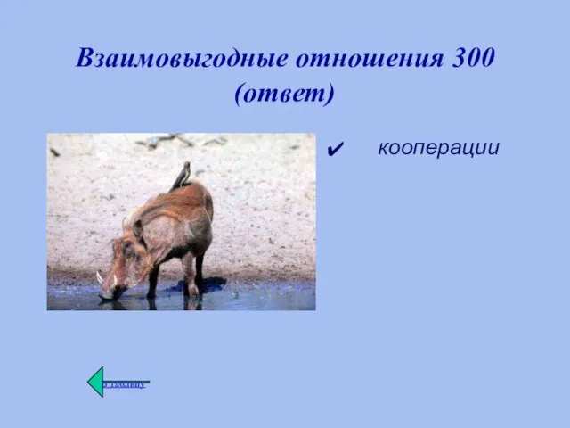 Взаимовыгодные отношения 300 (ответ) кооперации