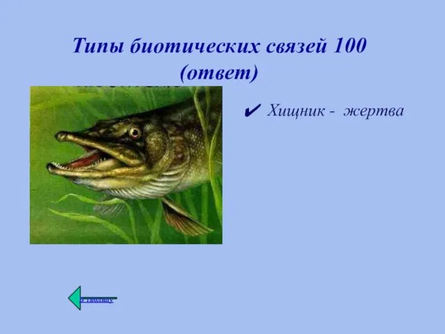 Типы биотических связей 100 (ответ) Хищник - жертва