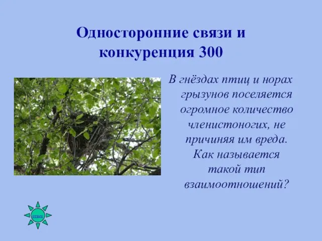 Односторонние связи и конкуренция 300 В гнёздах птиц и норах грызунов поселяется