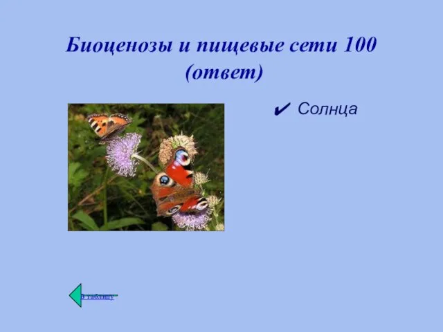 Биоценозы и пищевые сети 100 (ответ) Солнца