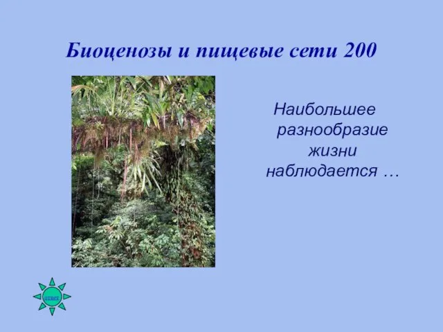 Биоценозы и пищевые сети 200 Наибольшее разнообразие жизни наблюдается …