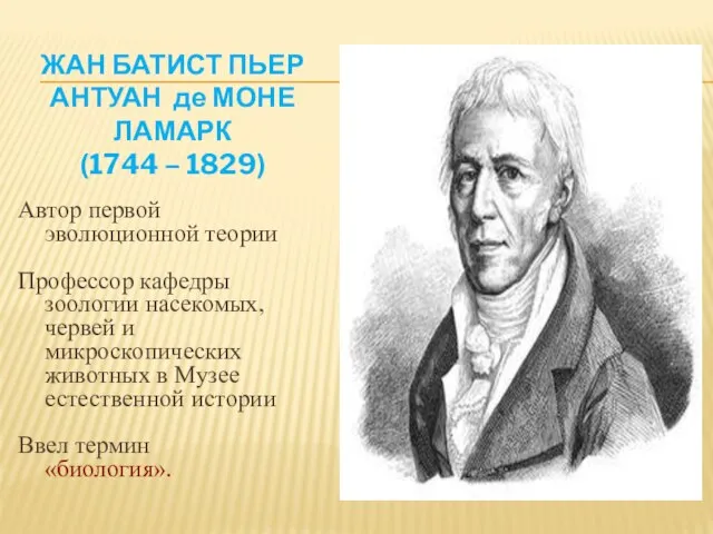 Автор первой эволюционной теории Профессор кафедры зоологии насекомых, червей и микроскопических животных