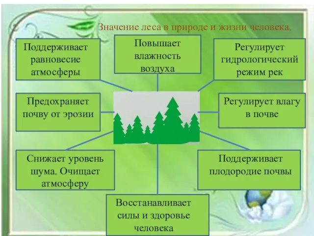 Значение леса в природе и жизни человека. Поддерживает равновесие атмосферы Повышает влажность