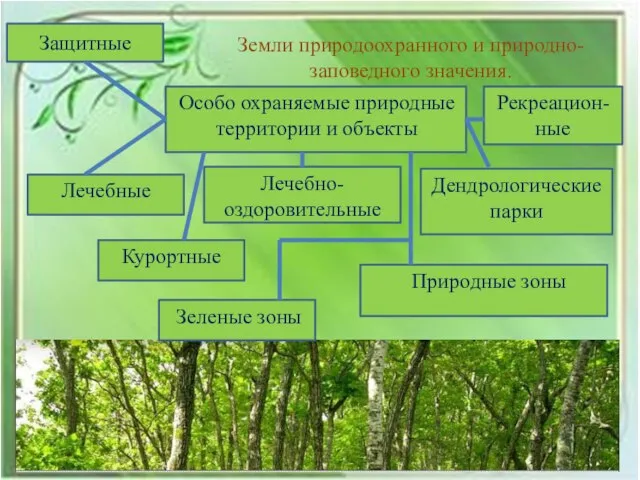 Земли природоохранного и природно-заповедного значения. Особо охраняемые природные территории и объекты Защитные