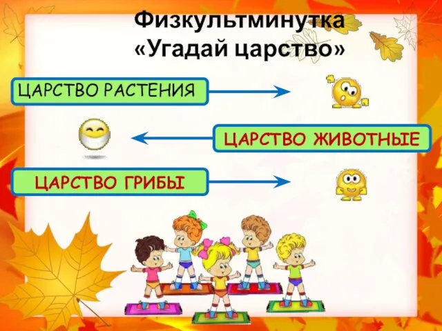 Физкультминутка «Угадай царство» ЦАРСТВО РАСТЕНИЯ ЦАРСТВО ЖИВОТНЫЕ ЦАРСТВО ГРИБЫ