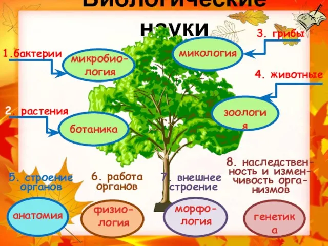 Биологические науки 3. грибы 4. животные 1.бактерии 2. растения 6. работа органов